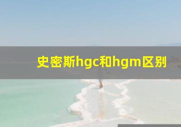 史密斯hgc和hgm区别