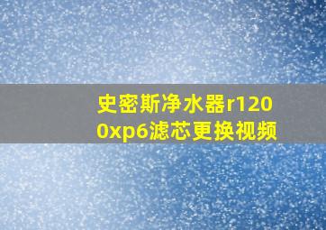 史密斯净水器r1200xp6滤芯更换视频