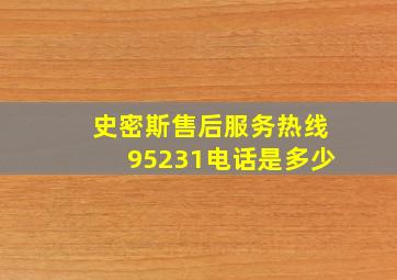 史密斯售后服务热线95231电话是多少