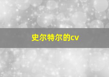 史尔特尔的cv