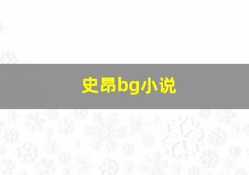 史昂bg小说