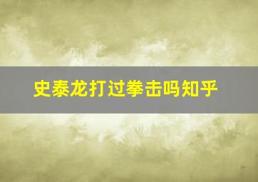 史泰龙打过拳击吗知乎