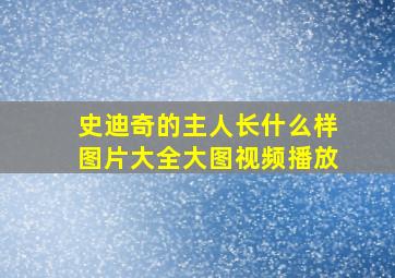 史迪奇的主人长什么样图片大全大图视频播放