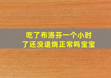 吃了布洛芬一个小时了还没退烧正常吗宝宝