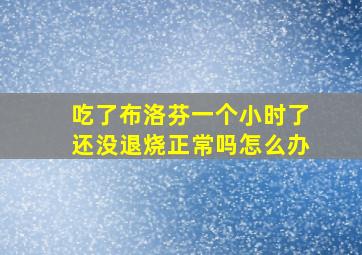 吃了布洛芬一个小时了还没退烧正常吗怎么办