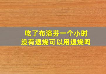 吃了布洛芬一个小时没有退烧可以用退烧吗