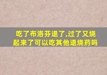 吃了布洛芬退了,过了又烧起来了可以吃其他退烧药吗