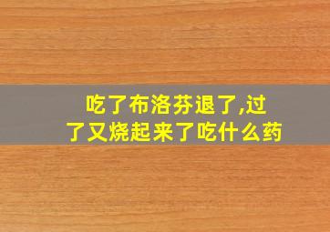 吃了布洛芬退了,过了又烧起来了吃什么药