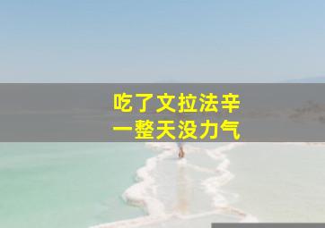 吃了文拉法辛一整天没力气