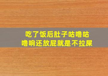 吃了饭后肚子咕噜咕噜响还放屁就是不拉屎