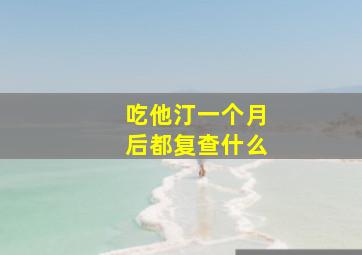 吃他汀一个月后都复查什么