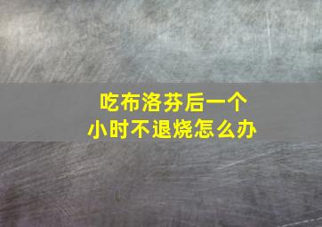 吃布洛芬后一个小时不退烧怎么办