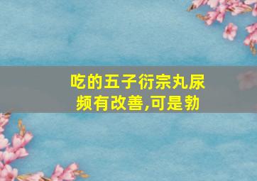 吃的五子衍宗丸尿频有改善,可是勃