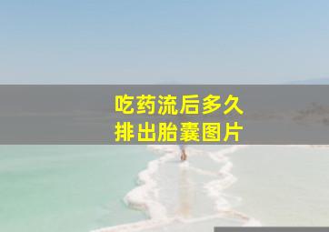 吃药流后多久排出胎囊图片