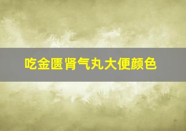 吃金匮肾气丸大便颜色