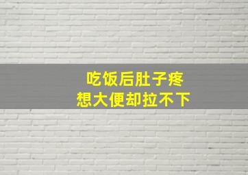 吃饭后肚子疼想大便却拉不下