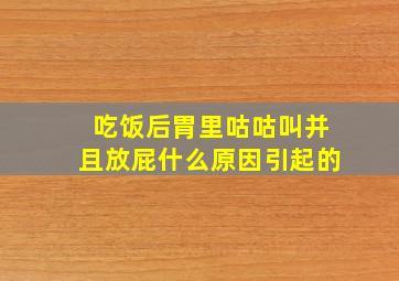 吃饭后胃里咕咕叫并且放屁什么原因引起的