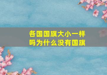 各国国旗大小一样吗为什么没有国旗