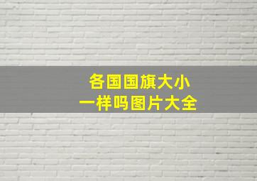 各国国旗大小一样吗图片大全