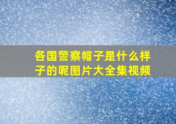 各国警察帽子是什么样子的呢图片大全集视频