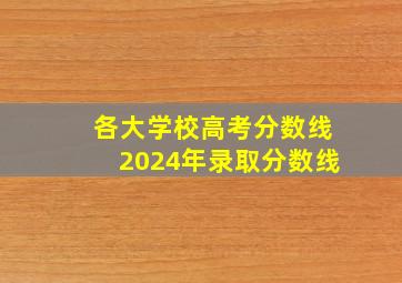 各大学校高考分数线2024年录取分数线