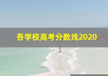 各学校高考分数线2020