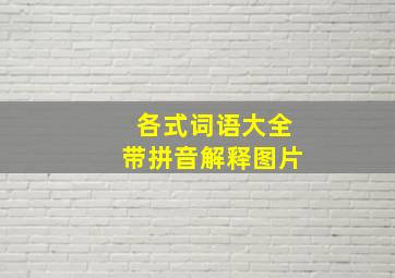 各式词语大全带拼音解释图片