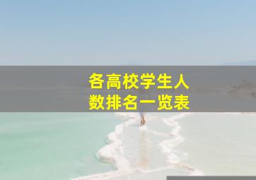 各高校学生人数排名一览表