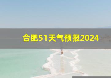 合肥51天气预报2024