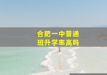 合肥一中普通班升学率高吗