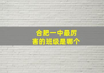 合肥一中最厉害的班级是哪个