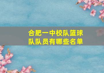 合肥一中校队篮球队队员有哪些名单