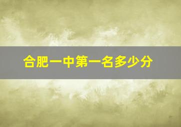 合肥一中第一名多少分