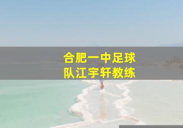 合肥一中足球队江宇轩教练