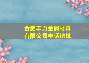 合肥丰力金属材料有限公司电话地址