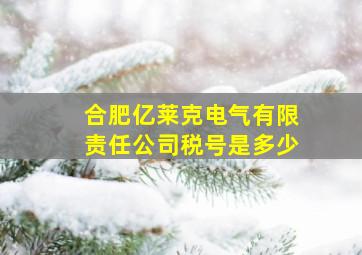 合肥亿莱克电气有限责任公司税号是多少