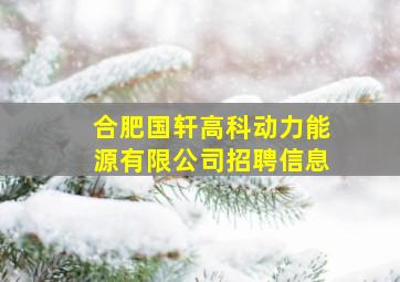 合肥国轩高科动力能源有限公司招聘信息