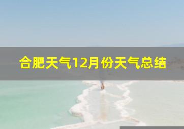 合肥天气12月份天气总结