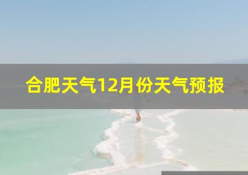 合肥天气12月份天气预报