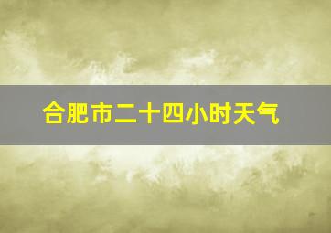 合肥市二十四小时天气