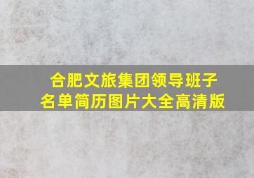 合肥文旅集团领导班子名单简历图片大全高清版