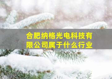 合肥纳格光电科技有限公司属于什么行业