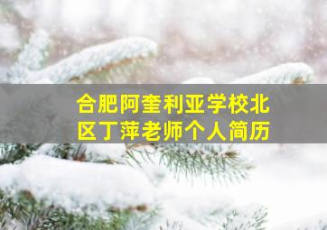 合肥阿奎利亚学校北区丁萍老师个人简历