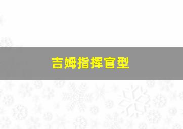 吉姆指挥官型