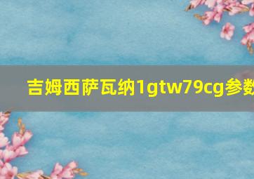 吉姆西萨瓦纳1gtw79cg参数