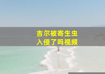 吉尔被寄生虫入侵了吗视频