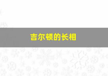 吉尔顿的长相