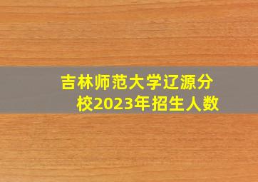 吉林师范大学辽源分校2023年招生人数