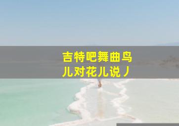 吉特吧舞曲鸟儿对花儿说丿