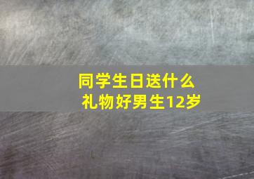 同学生日送什么礼物好男生12岁